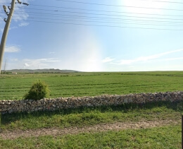 KIRŞEHİR KAMAN KARGİN YENİCE'DE 84.000M2 TEK TAPU SATILIK TARLA
